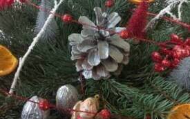 Galeria Podstrony Świąteczna atmosfera w naszym Klubie Seniora!  22