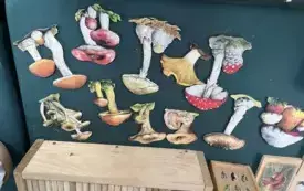 Galeria aktualności II Rodzinny Rajd Rowerowy w Wysokiej Kamieńskiej 35