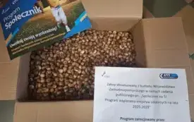 Galeria aktualności Razem upiększamy naszą przestrzeń &ndash; 2 edycja 5