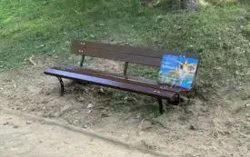 Galeria aktualności Nowe ławeczki na trasie do Kłęb&oacute;w &ndash; więcej komfortu na spacerach! &nbsp; &nbsp; 2