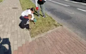 Galeria aktualności &bdquo;Elektrośmieci zbieramy i nasze sołectwo upiększamy&rdquo; - podsumowanie Społecznika na 5 w Kretlewie 25