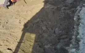 Galeria aktualności &bdquo;Elektrośmieci zbieramy i nasze sołectwo upiększamy&rdquo; - podsumowanie Społecznika na 5 w Kretlewie 48