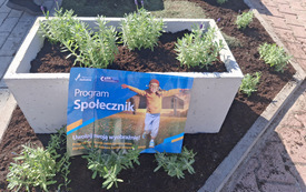 Galeria aktualności Lawendowe Zakątki &ndash; razem upiększamy nasze miasto! 4