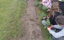 Galeria aktualności Lawendowe Zakątki &ndash; razem upiększamy nasze miasto! 7