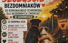 Galeria aktualności Zapraszamy na &bdquo;Rajd po szczęście bezdomniak&oacute;w&rdquo;! &nbsp; 1