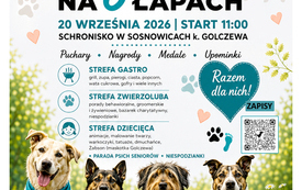 Galeria aktualności X Sosnowicki Rajd na 6 Łapach: jubileuszowy spacer, kt&oacute;ry pomaga psom znaleźć dom 1