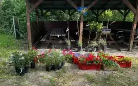 Galeria aktualności &nbsp;"Kwitnąca i czysta przestrzeń &ndash; razem upiększamy naszą wieś!" &nbsp; 4