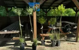 Galeria aktualności &nbsp;"Kwitnąca i czysta przestrzeń &ndash; razem upiększamy naszą wieś!" &nbsp; 5