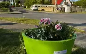 Galeria aktualności &nbsp;"Kwitnąca i czysta przestrzeń &ndash; razem upiększamy naszą wieś!" &nbsp; 13