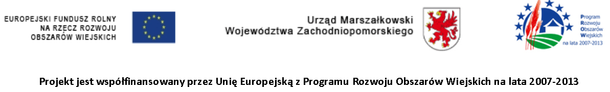 logotypy dot. dofinansowania pn. powrót do tradycji